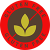 Gluten_Free_Trans Gluten_Free_Trans